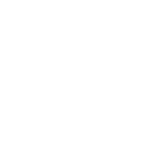 INEI